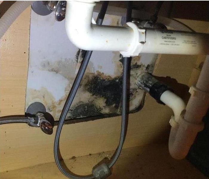 Mold caused by moisture from a leaking pipe. 